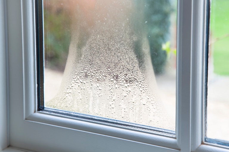 Condensation And Mould Guidelines For Tenants