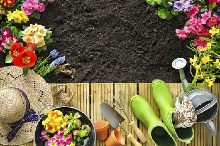 Super Hacks for the Garden