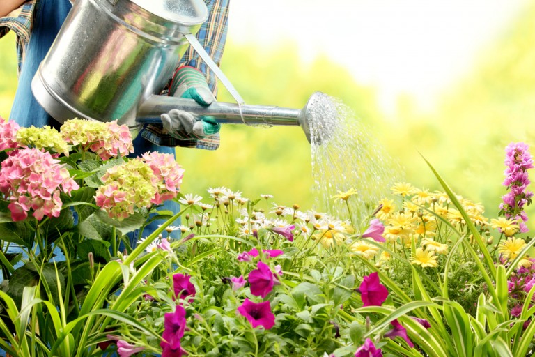 In the Garden - Spring